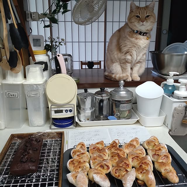 mntcさんの部屋