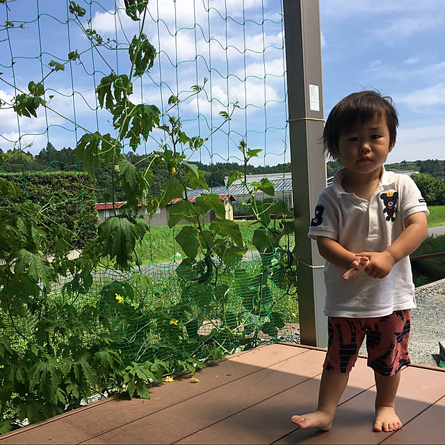 nachaxxさんの実例写真