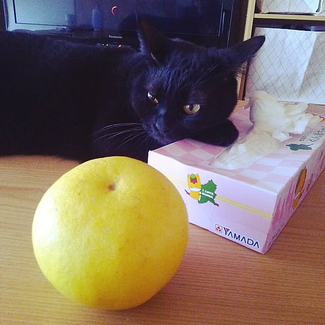 kuromiさんの実例写真