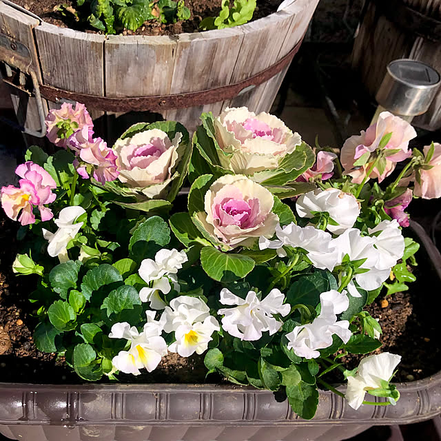 tomoさんの実例写真