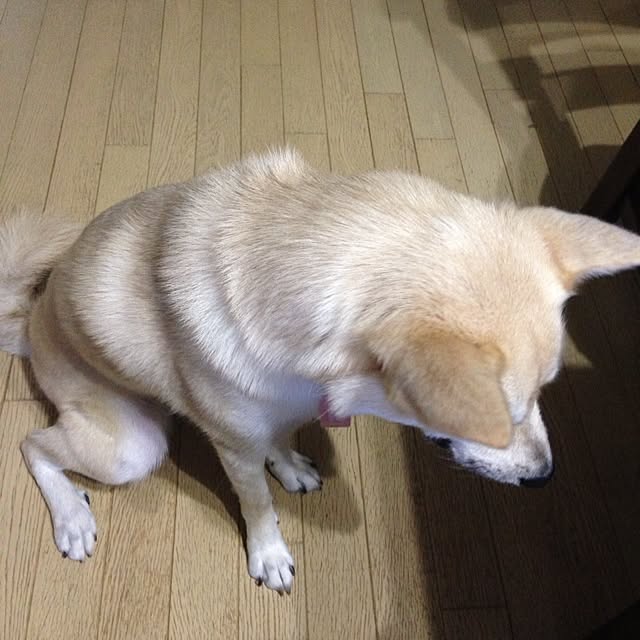 leonaさんの実例写真