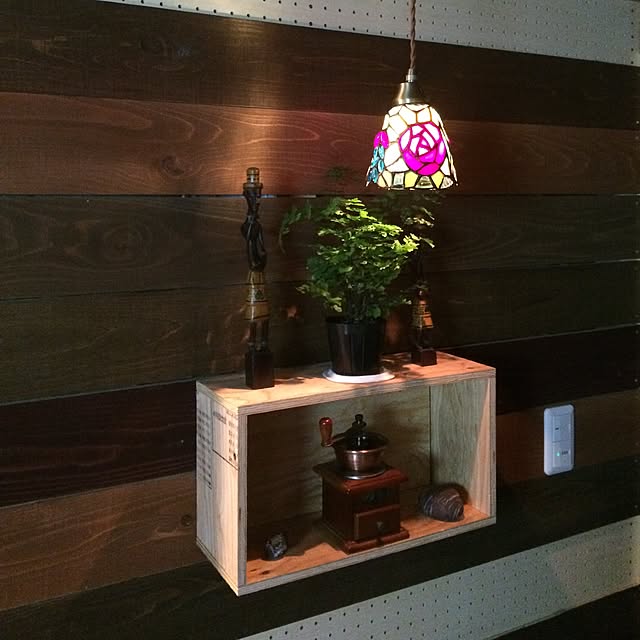棚/DIY/観葉植物のインテリア実例 - 2016-06-13 21:59:24