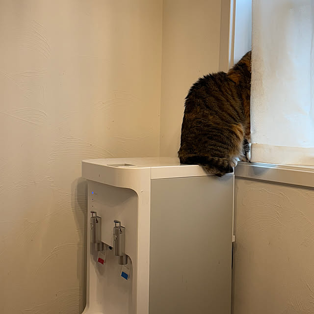 usa-homeさんの実例写真