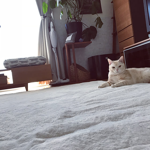 hiyupan88さんの実例写真