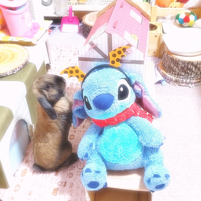 mariaさんの実例写真