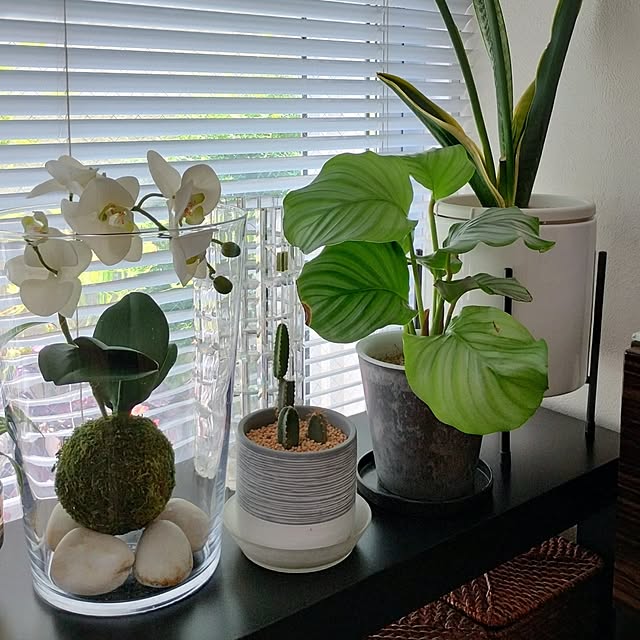jinさんの部屋