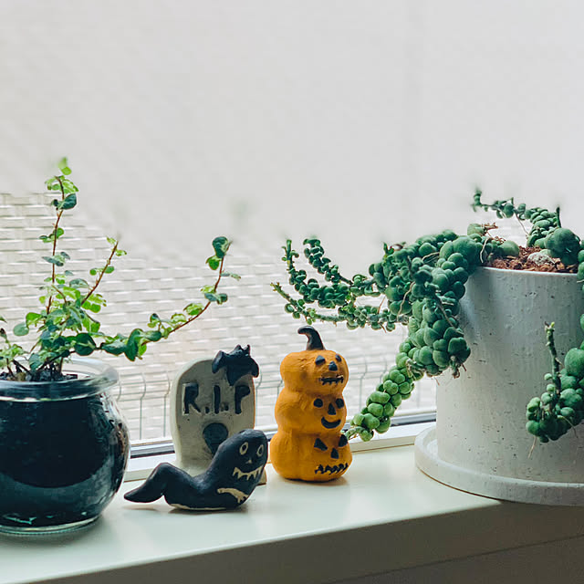 mogさんの部屋