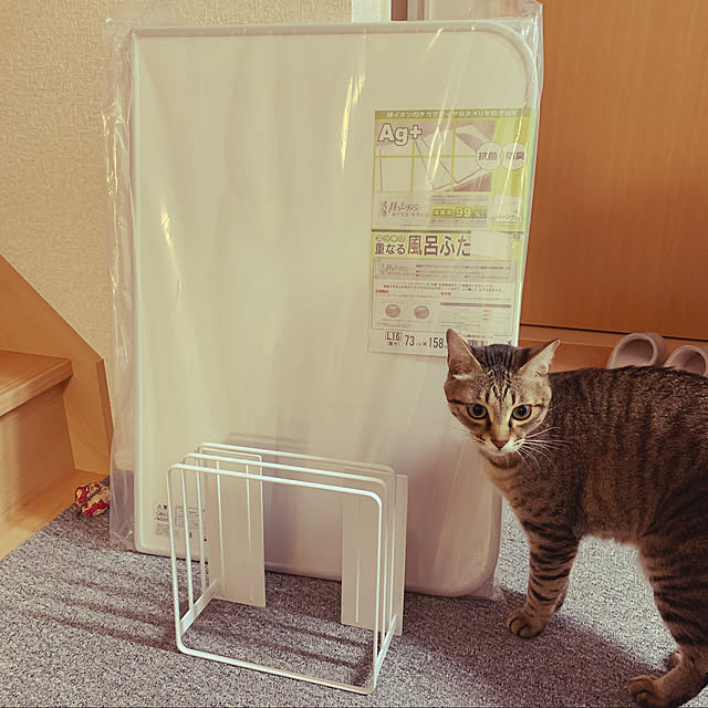 yukichi801さんの実例写真