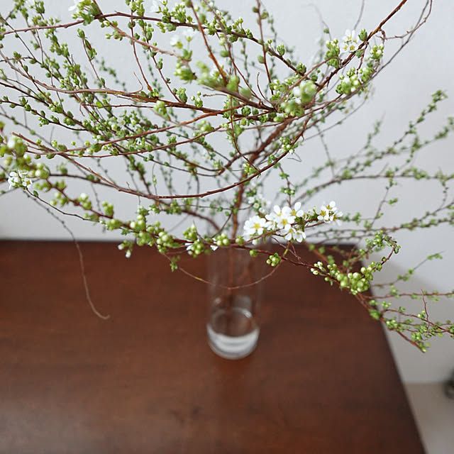 mainさんの実例写真