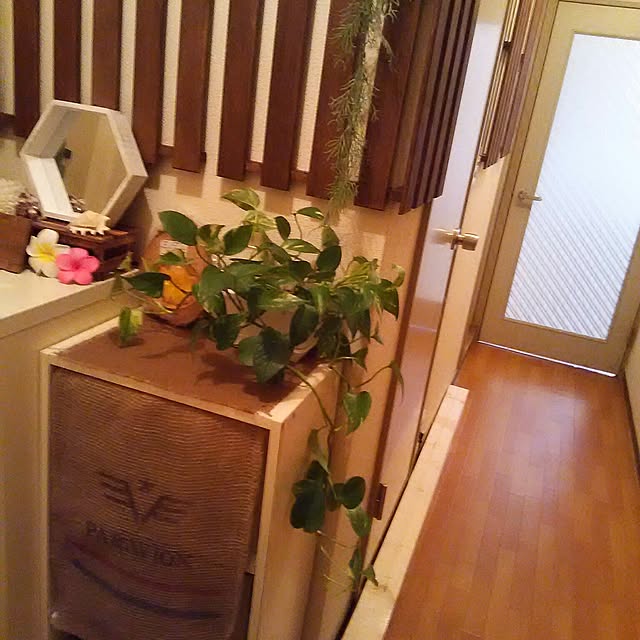 koto.ohanaさんの実例写真
