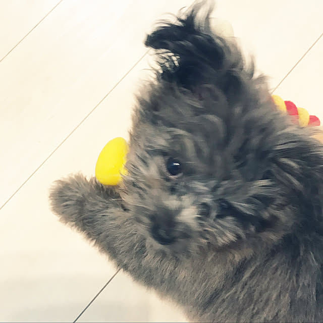 aminamiさんの実例写真