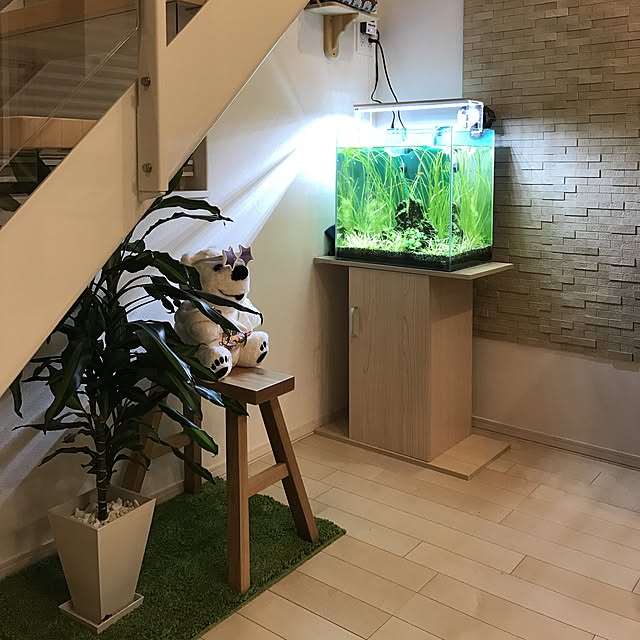 hotaboさんの実例写真