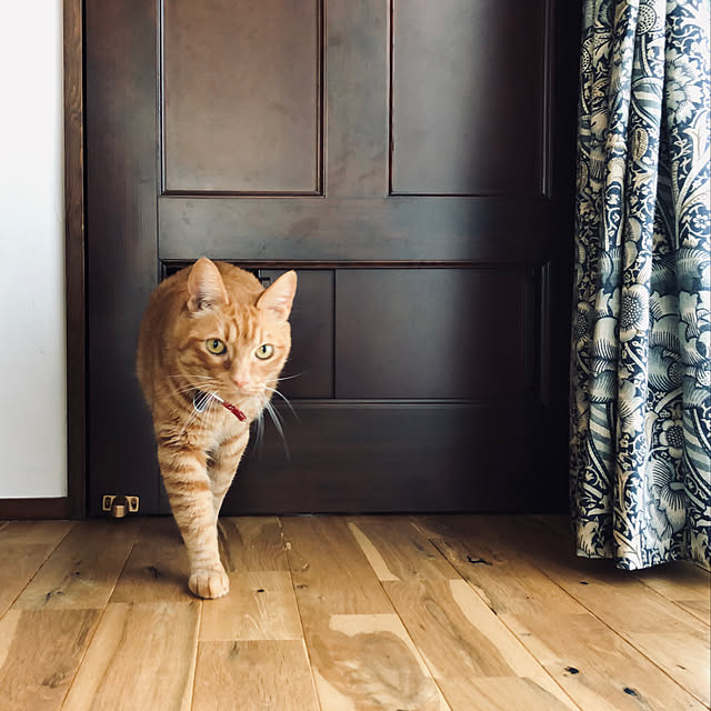 Maruさんの実例写真
