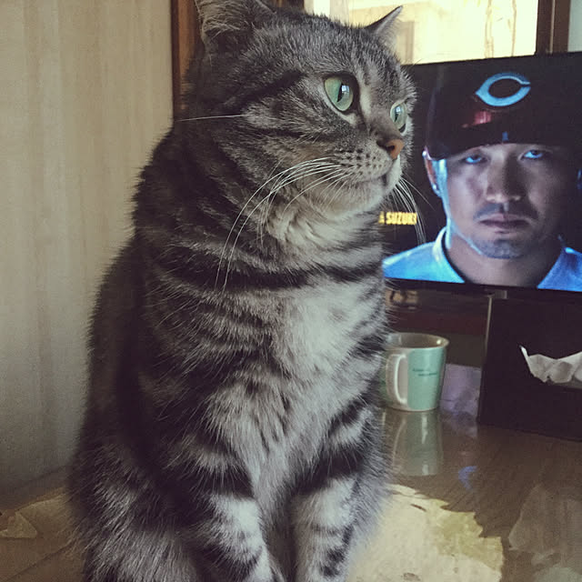 richanさんの実例写真