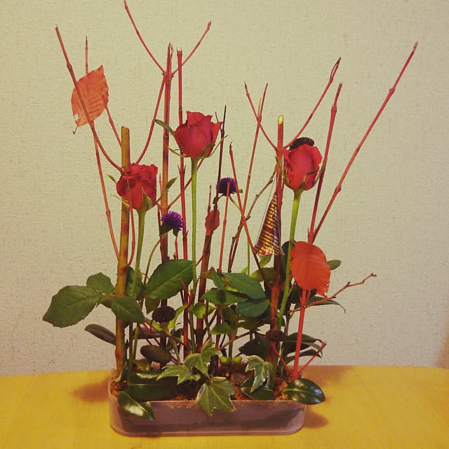 chocoruさんの実例写真
