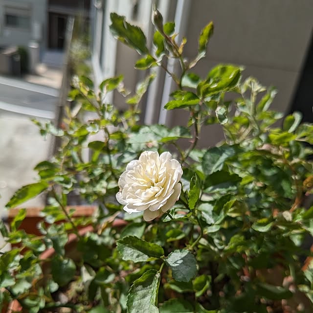 kazuさんの部屋
