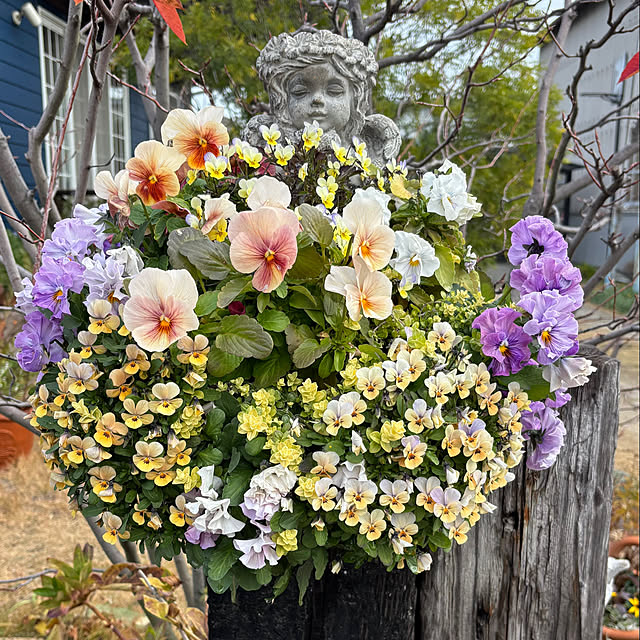 noeさんの実例写真