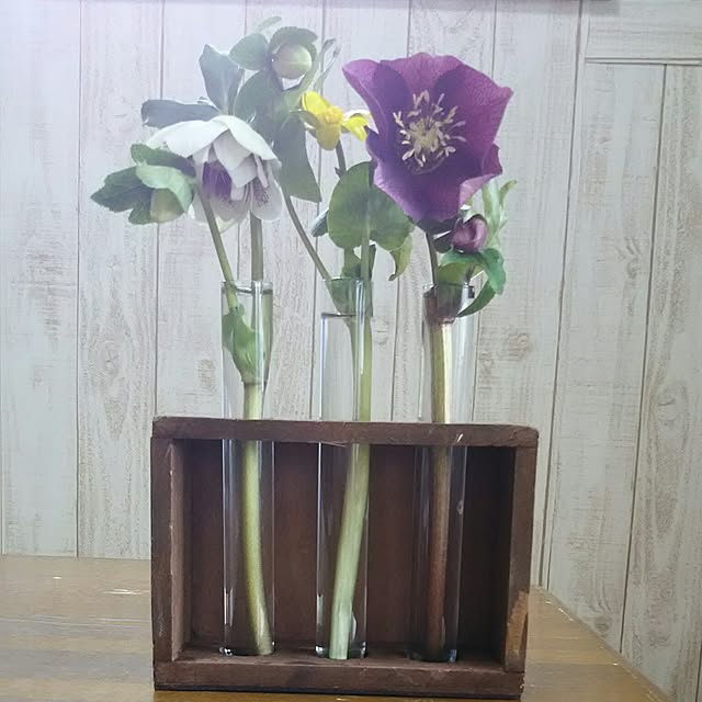 naopyiさんの実例写真
