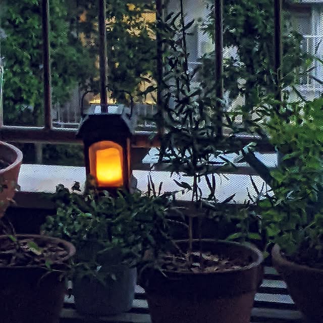 mi-saさんの部屋