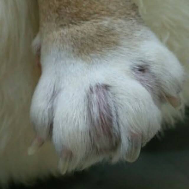 AandPさんの実例写真