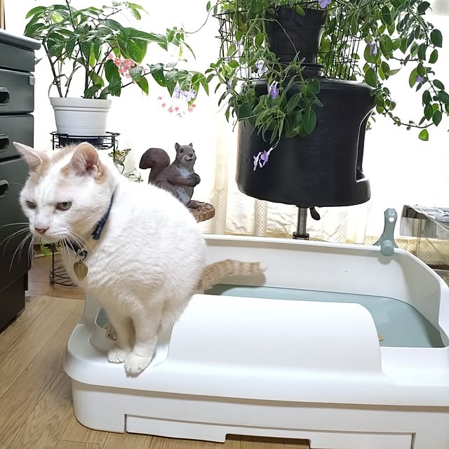NOAHさんの部屋