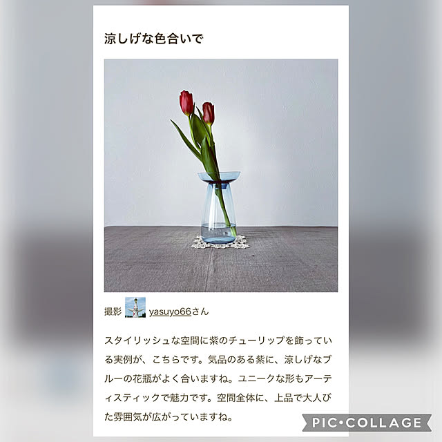 yasuyo66さんの実例写真