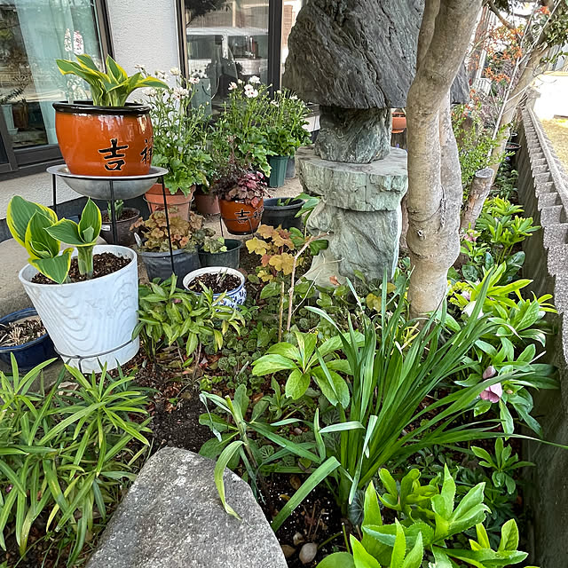 buchiさんの部屋