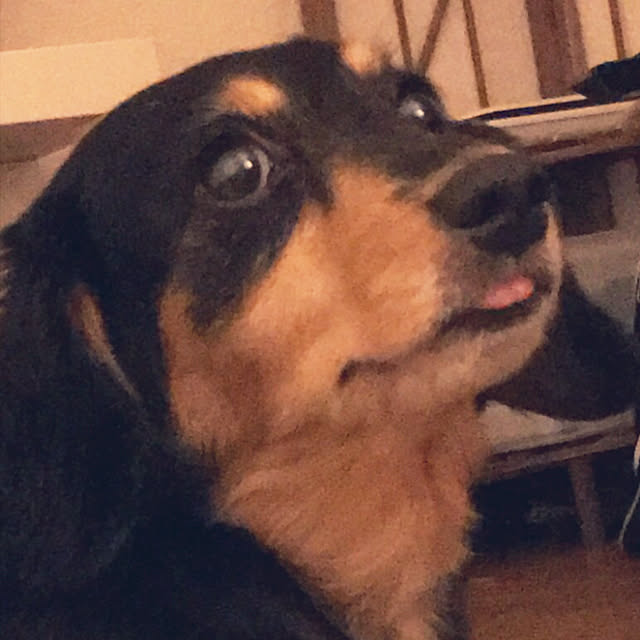 ohanaさんの実例写真