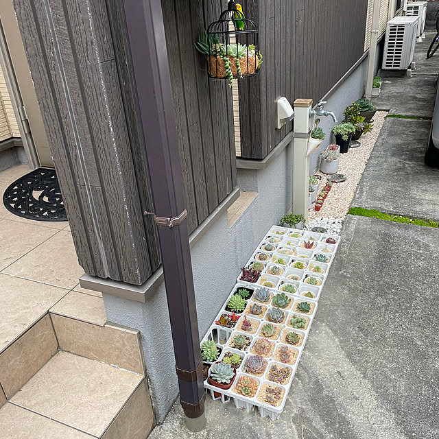 akmama_khさんの実例写真