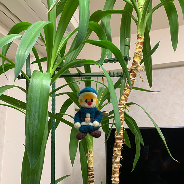 Aqettyさんの部屋