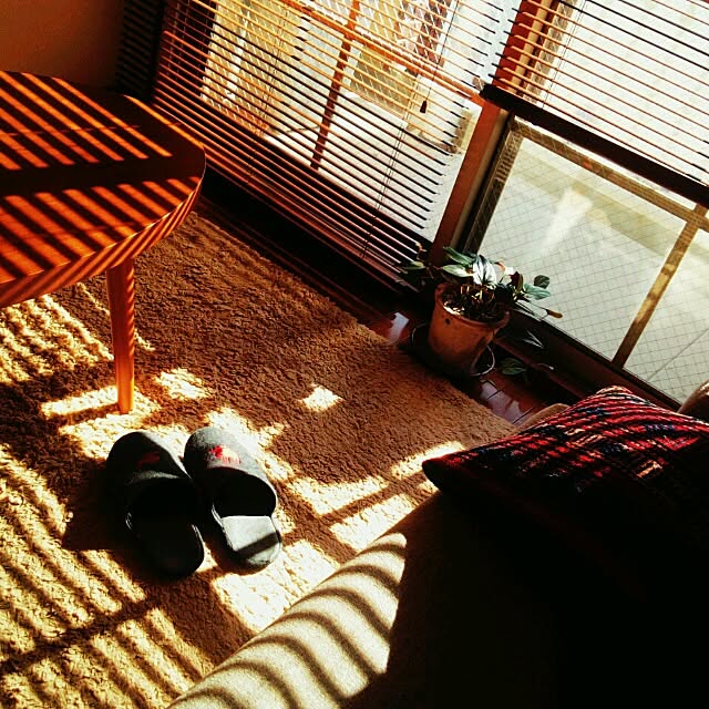 pasataさんの実例写真