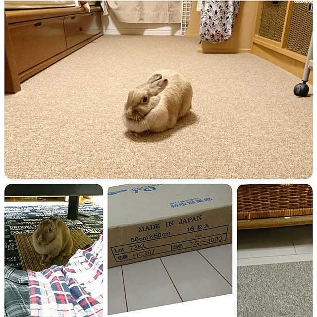 miru-neさんの実例写真