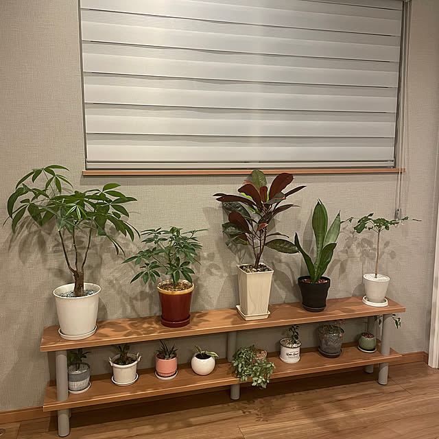 ikuzakさんの部屋