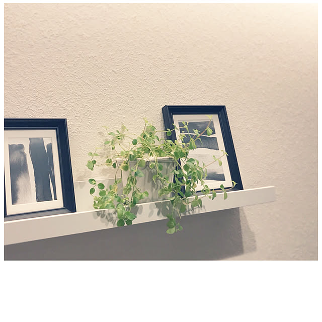 home_m_styleさんの実例写真