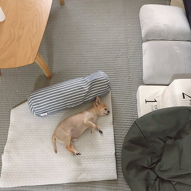 Emiさんの実例写真