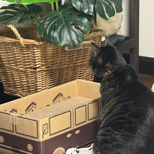 momocchiさんの部屋