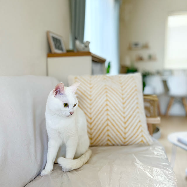 Miyu_さんの実例写真