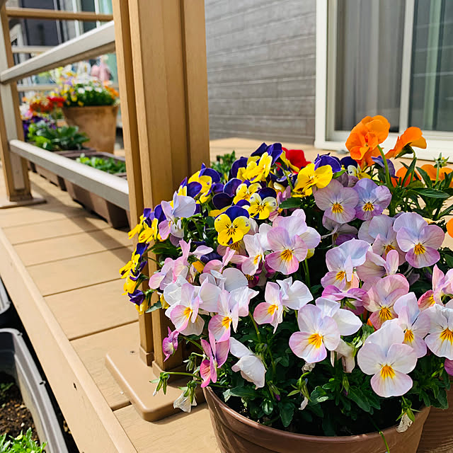 Tomokoさんの実例写真