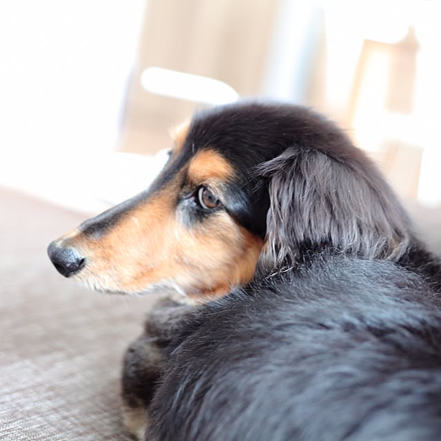 sebumさんの実例写真