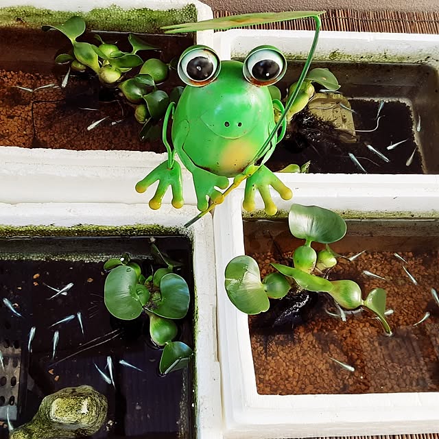 katさんの実例写真