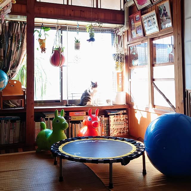 kikuさんの実例写真