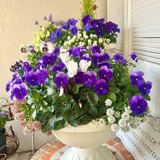 cocoさんの実例写真