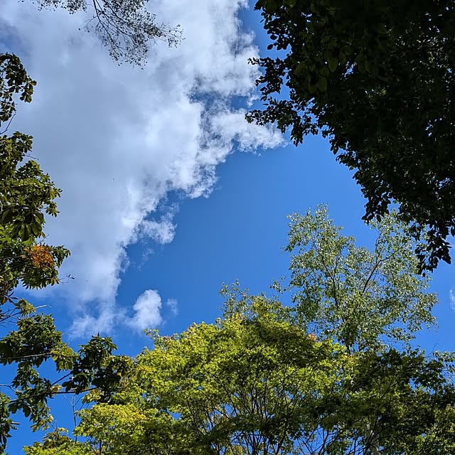 marronさんの部屋