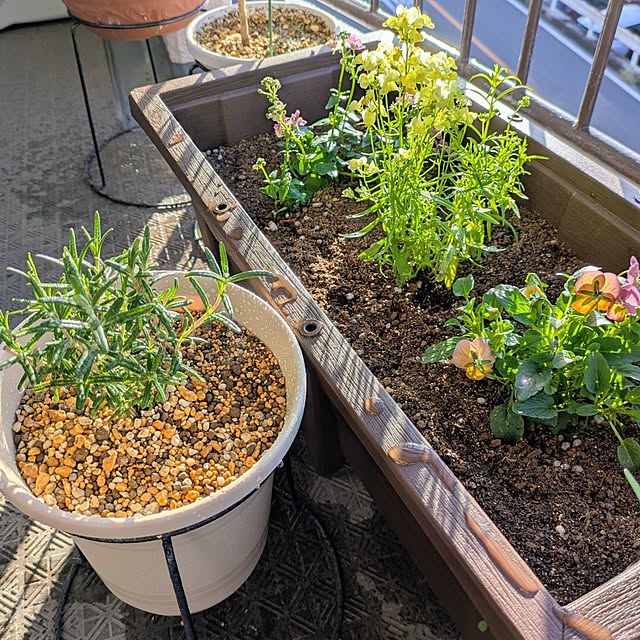 mi-saさんの部屋