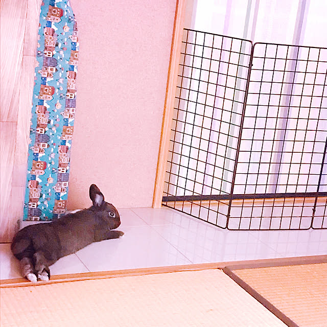 portulacaさんの実例写真