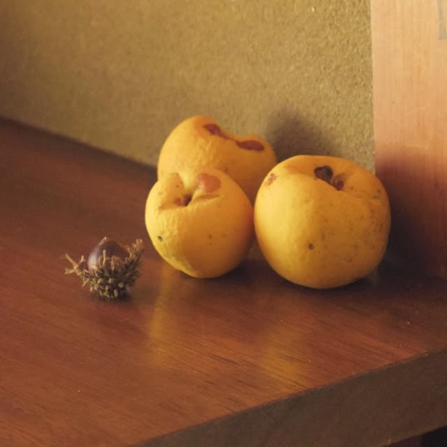 hokoさんの実例写真