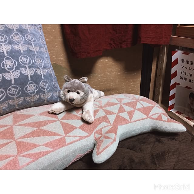 yk___nyaさんの実例写真
