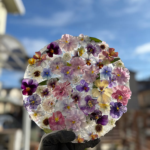 mayumiさんの部屋