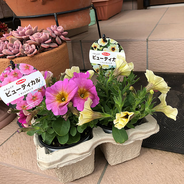 canmilmamaさんの実例写真