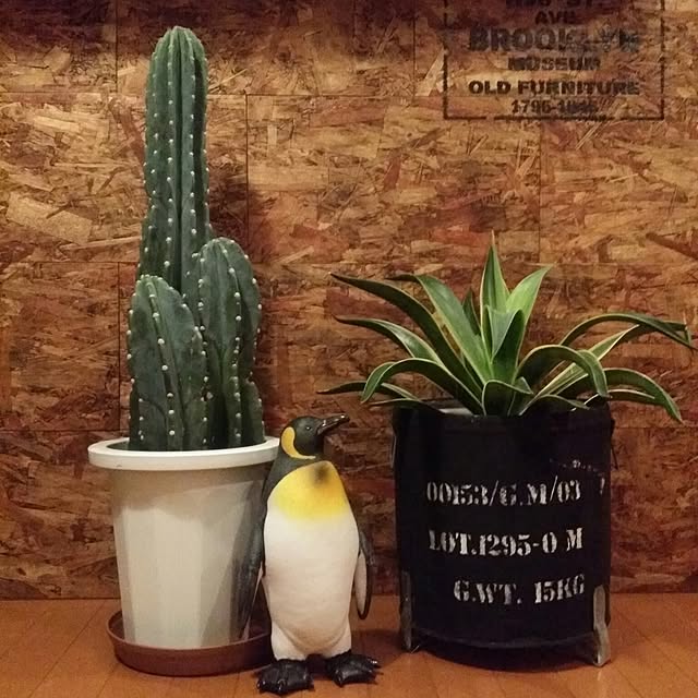 mioさんの実例写真